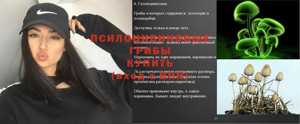 СК Беломорск
