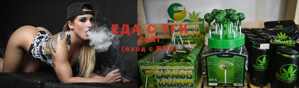гидра Богородск