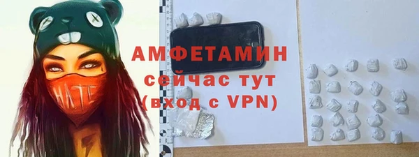 PSILOCYBIN Белокуриха