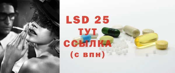 PSILOCYBIN Белокуриха