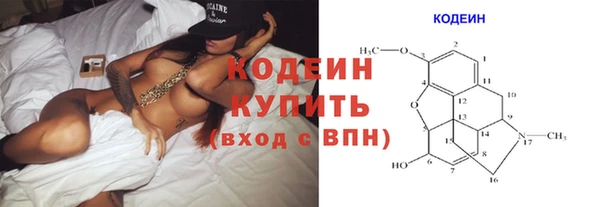 гидра Богородск