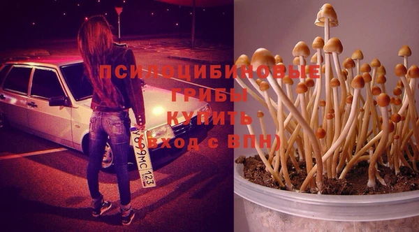 шишки Новочеркасск